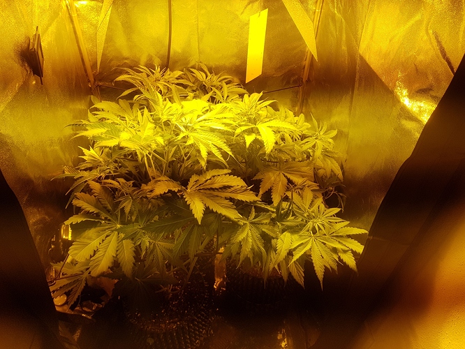 Growreport Bild 8
