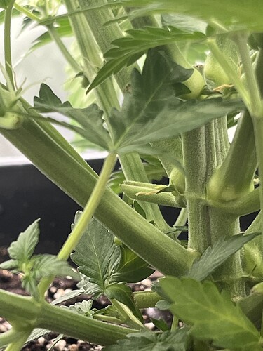Growreport Bild 26