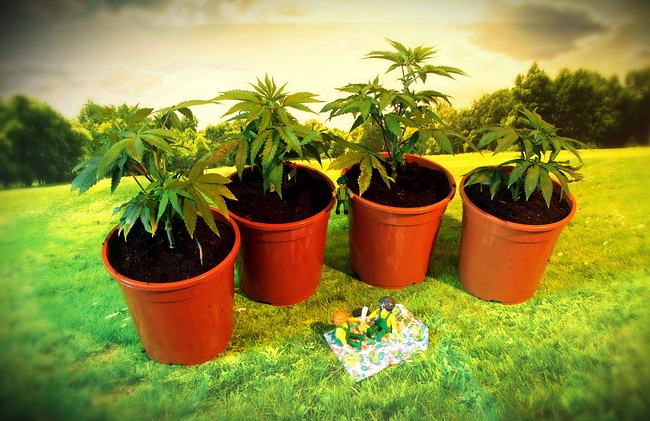 Growreport Bild 10