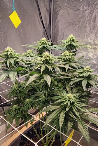 IMG_20240120_103901