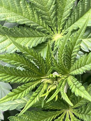 Growreport Bild 9