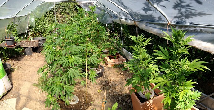 070_SiebterSiebter_07