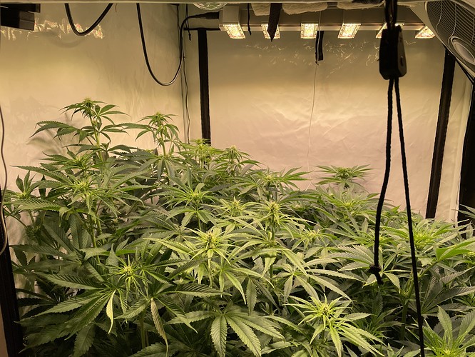 Growreport Bild 8
