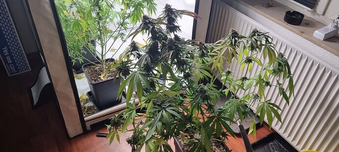 Growreport Bild 11