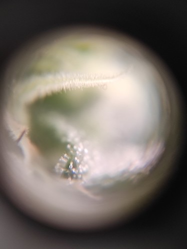 Growreport Bild 9