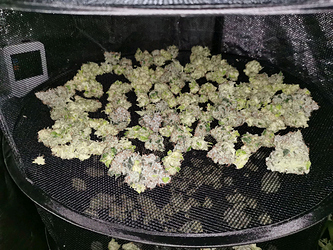 Growreport Bild 9