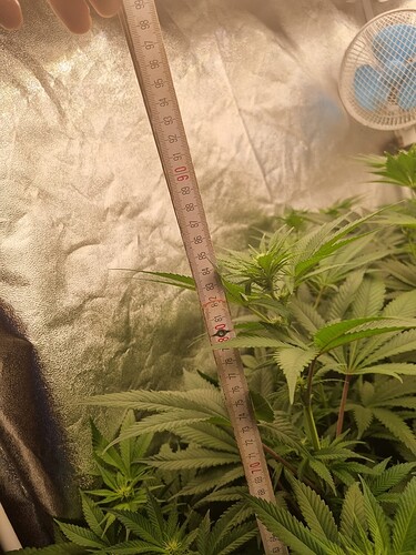 Growreport Bild 23