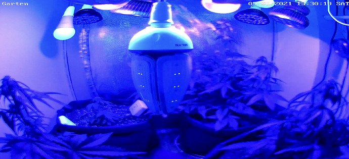 Growreport Bild 12