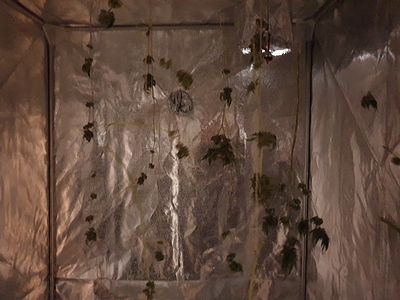 Growreport Bild 22