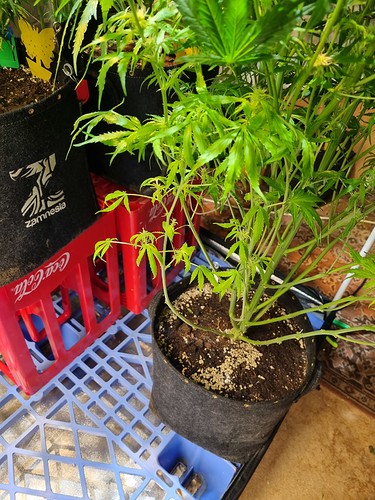 Growreport Bild 10