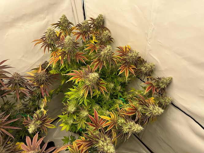Growreport Bild 18