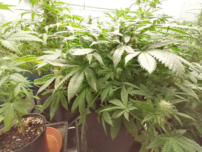 Growreport Bild 8