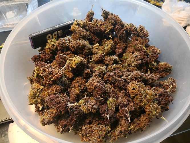 Growreport Bild 20