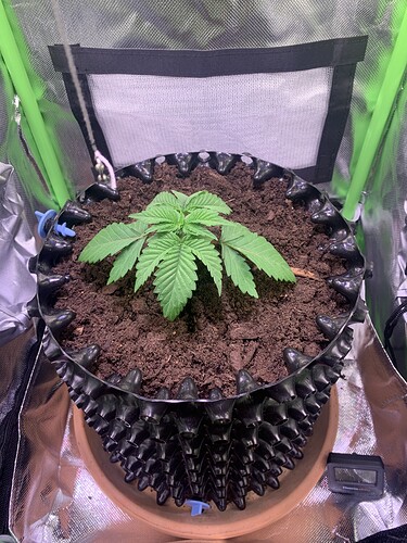Growreport Bild 1