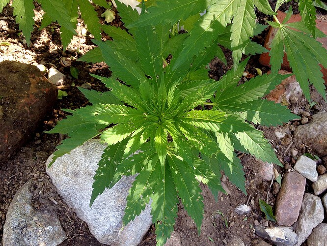 070_SiebterSiebter_05