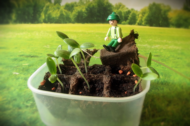 Growreport Bild 11