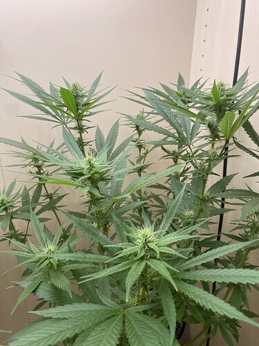 Growreport Bild 12