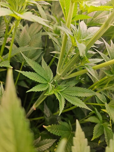 Growreport Bild 13