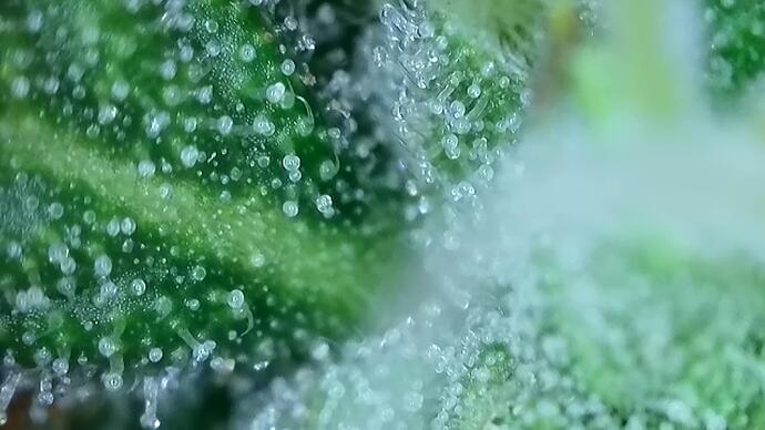 signal-2022-10-25-191504_009