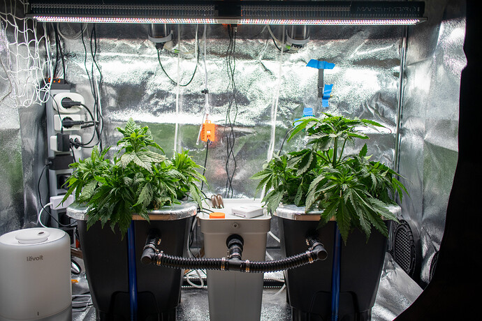 Growreport Bild 17
