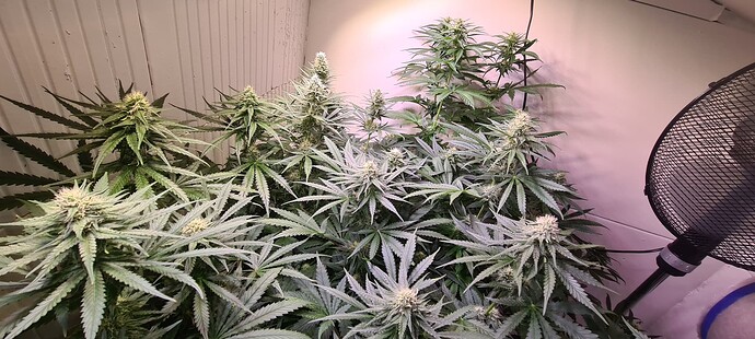 Growreport Bild 5