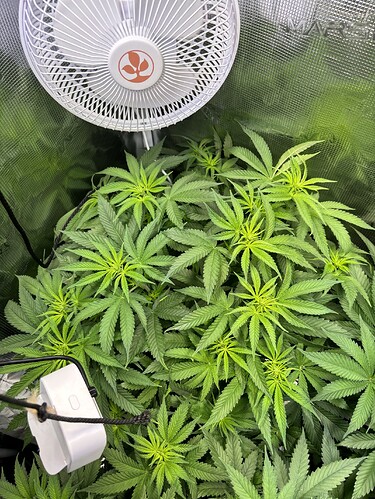 Growreport Bild 14