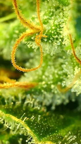 Growreport Bild 22