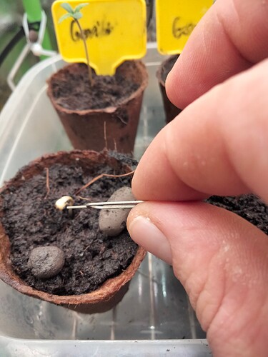 Growreport Bild 7