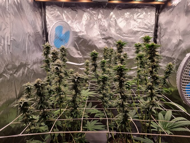 Growreport Bild 10