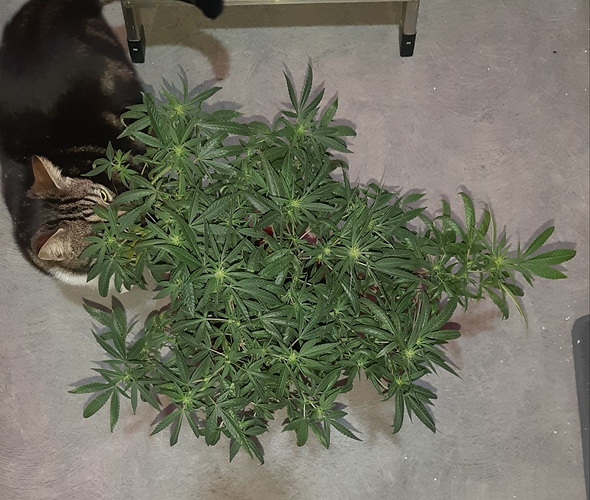 Growreport Bild 11