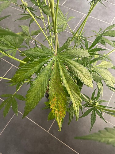 Growreport Bild 17