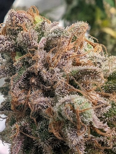 Growreport Bild 2