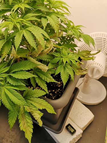 Growreport Bild 5