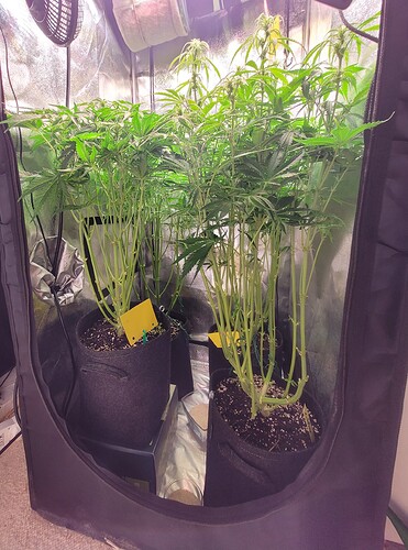 Growreport Bild 11