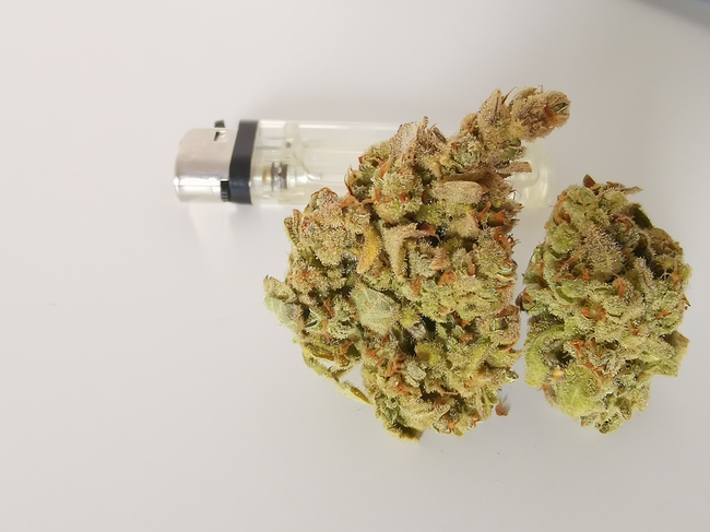 Growreport Bild 8