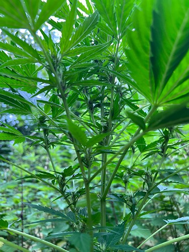 Growreport Bild 7