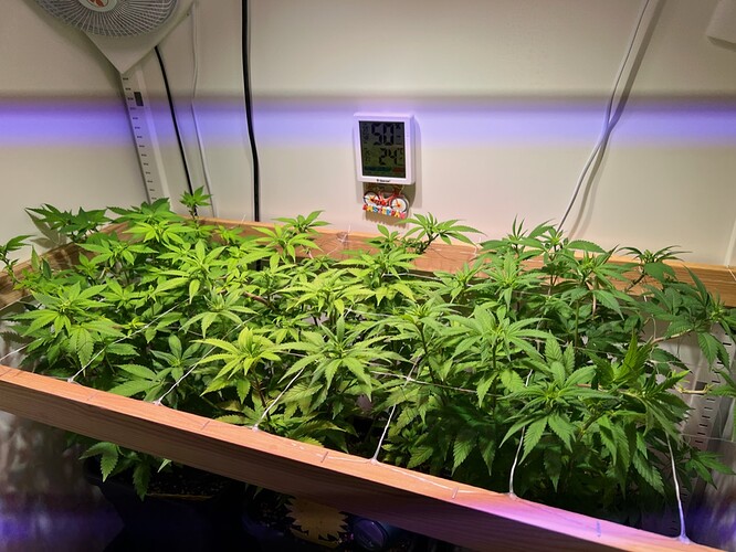 Growreport Bild 11