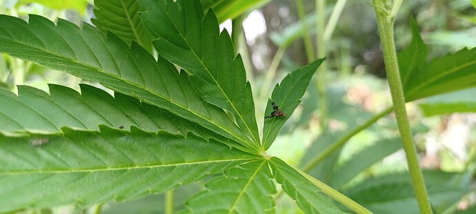 Growreport Bild 8