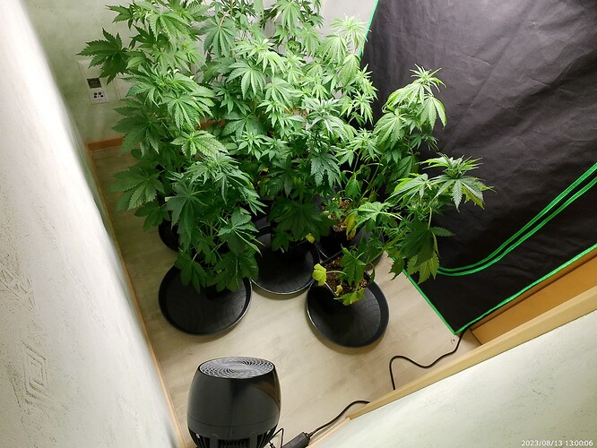 Growreport Bild 29