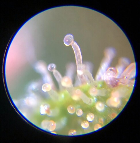 Growreport Bild 12