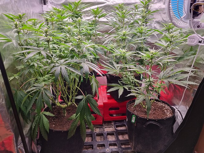 Growreport Bild 2