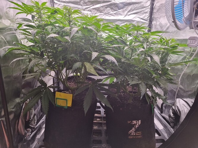 Growreport Bild 20