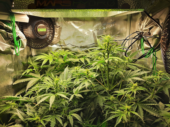 Growreport Bild 7