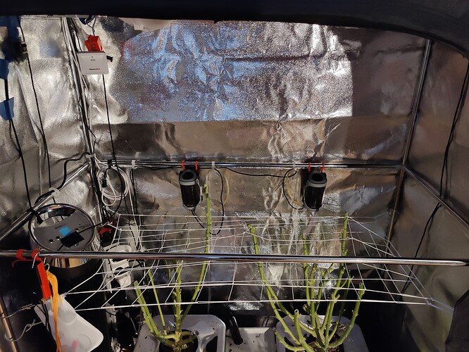 Growreport Bild 39