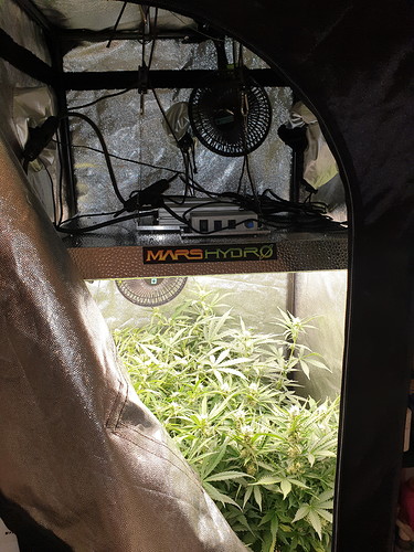 Growreport Bild 8