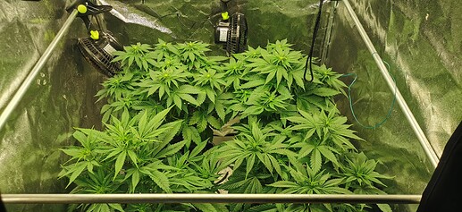 Growreport Bild 25