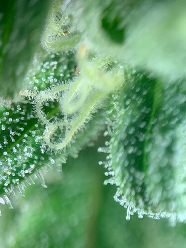 Growreport Bild 13