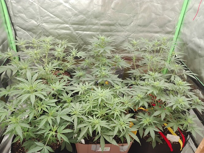 Growreport Bild 17