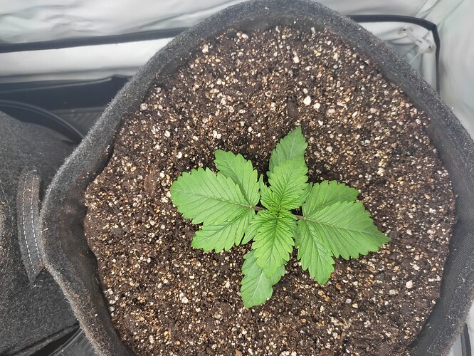 Growreport Bild 24