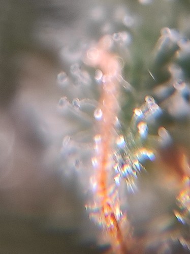 Growreport Bild 21
